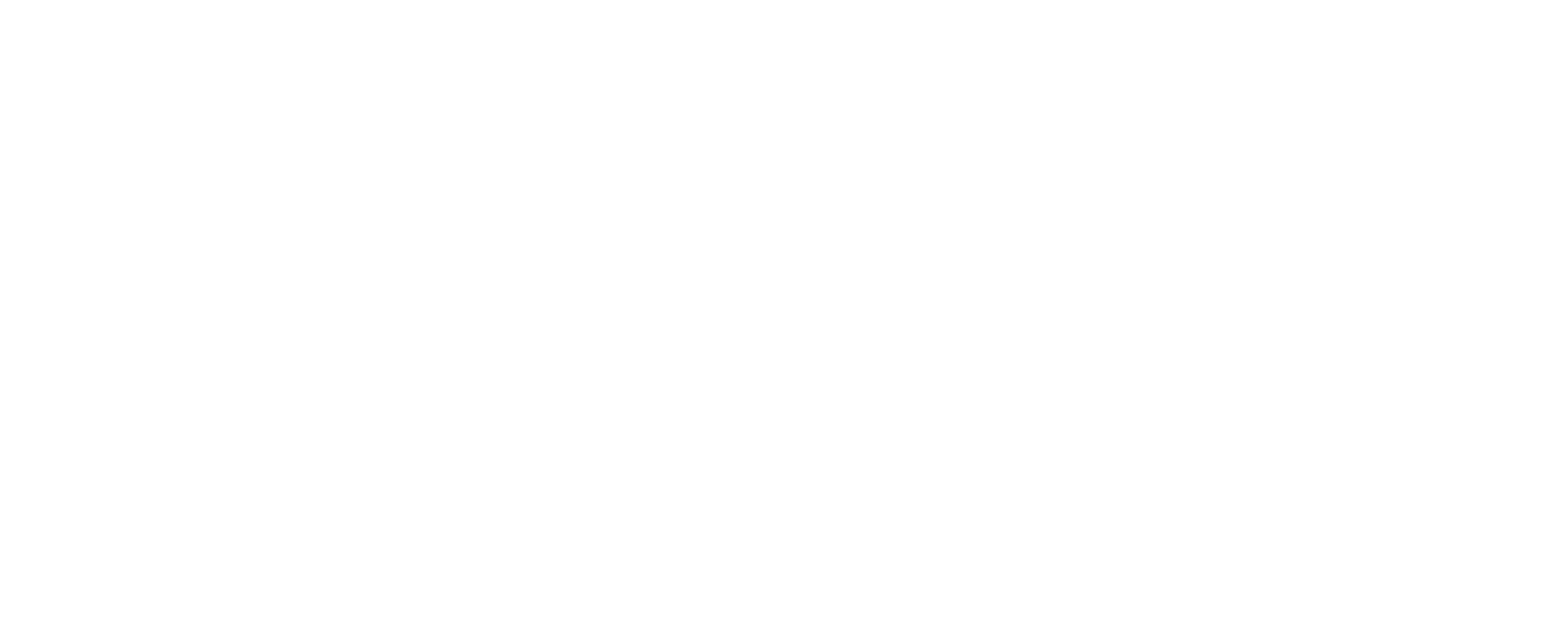 Wolgan Logo