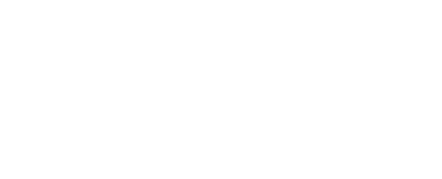 Wolgan Logo